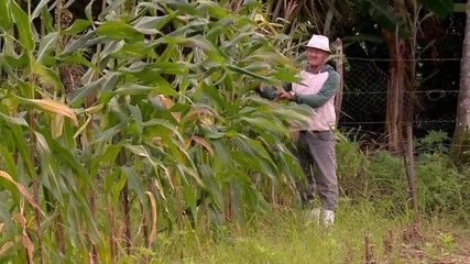 Tarifas de Trump entram em vigor em 1º de agosto