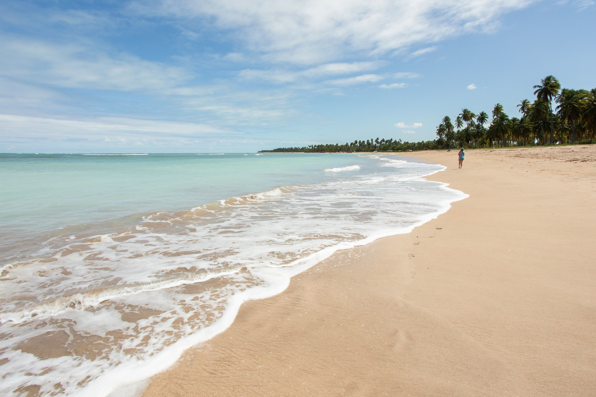 Turistas de Recife são resgatados após sequestro frustado