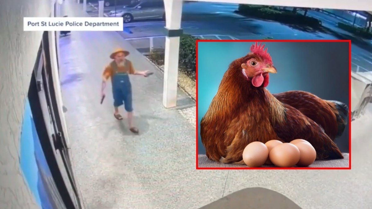 Tiroteio em bar começa por discussão sobre ovos de galinha