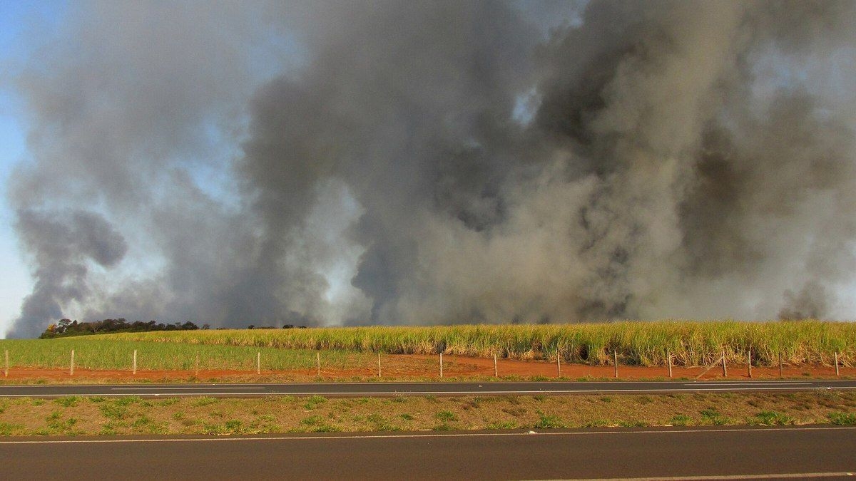 Alerta de baixa umidade em São Paulo