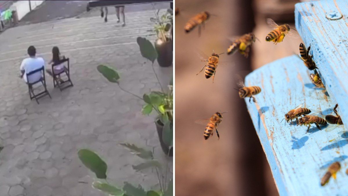 Abelhas atacam público em desfile de aniversário