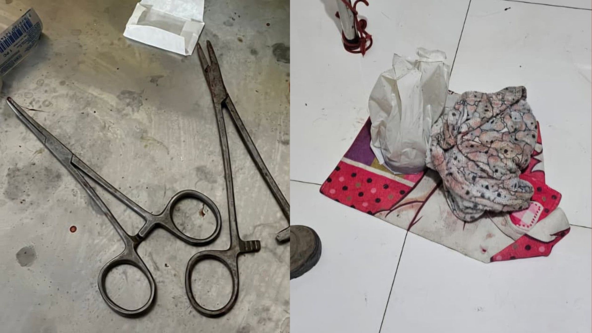 Clínica veterinária e loja agropecuária interditadas em Alagoas