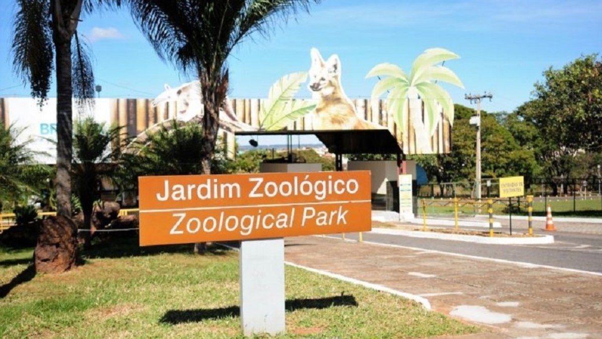 GDF confirma caso de gripe aviária no Zoológico