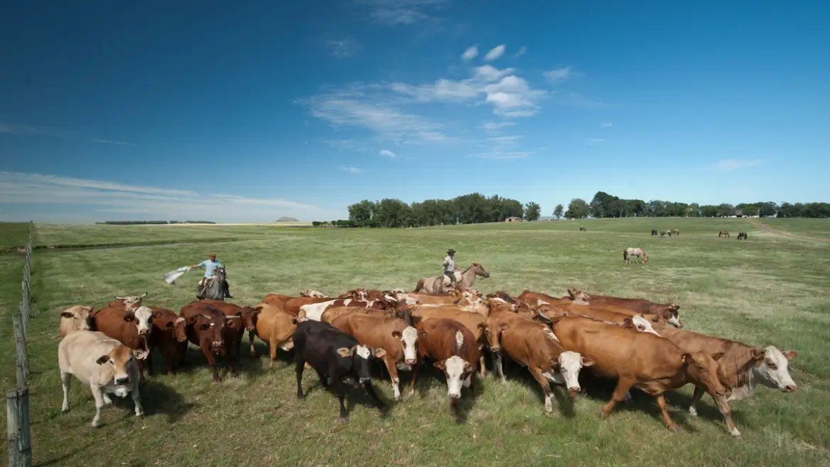 Crescimento das emissões de metano preocupa antes da COP30