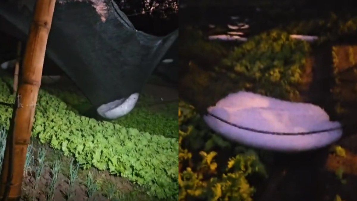 Granizo causa danos em Urupês e surpreende moradores