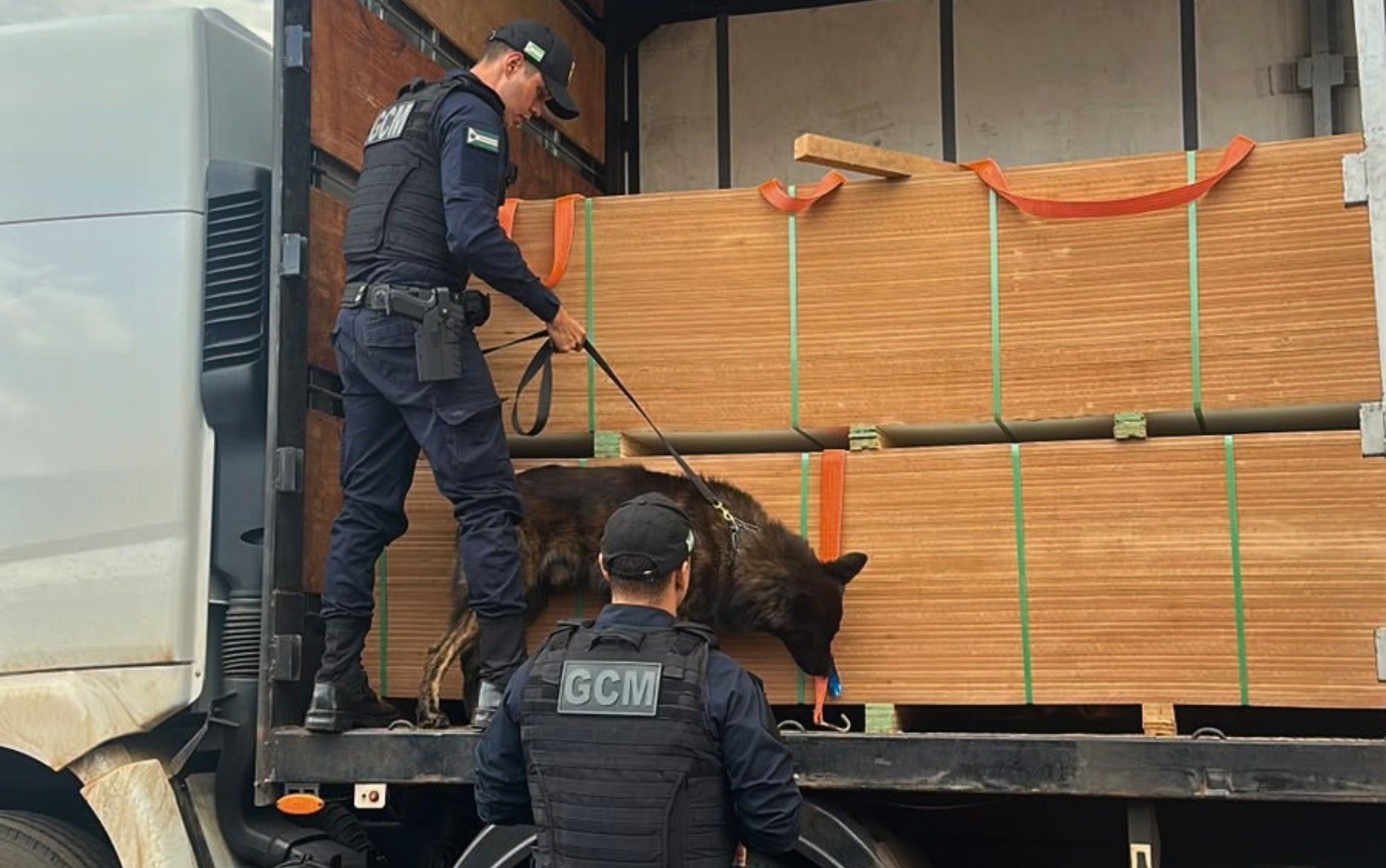 Cão farejador encontra 7,5 toneladas de maconha na BR-060