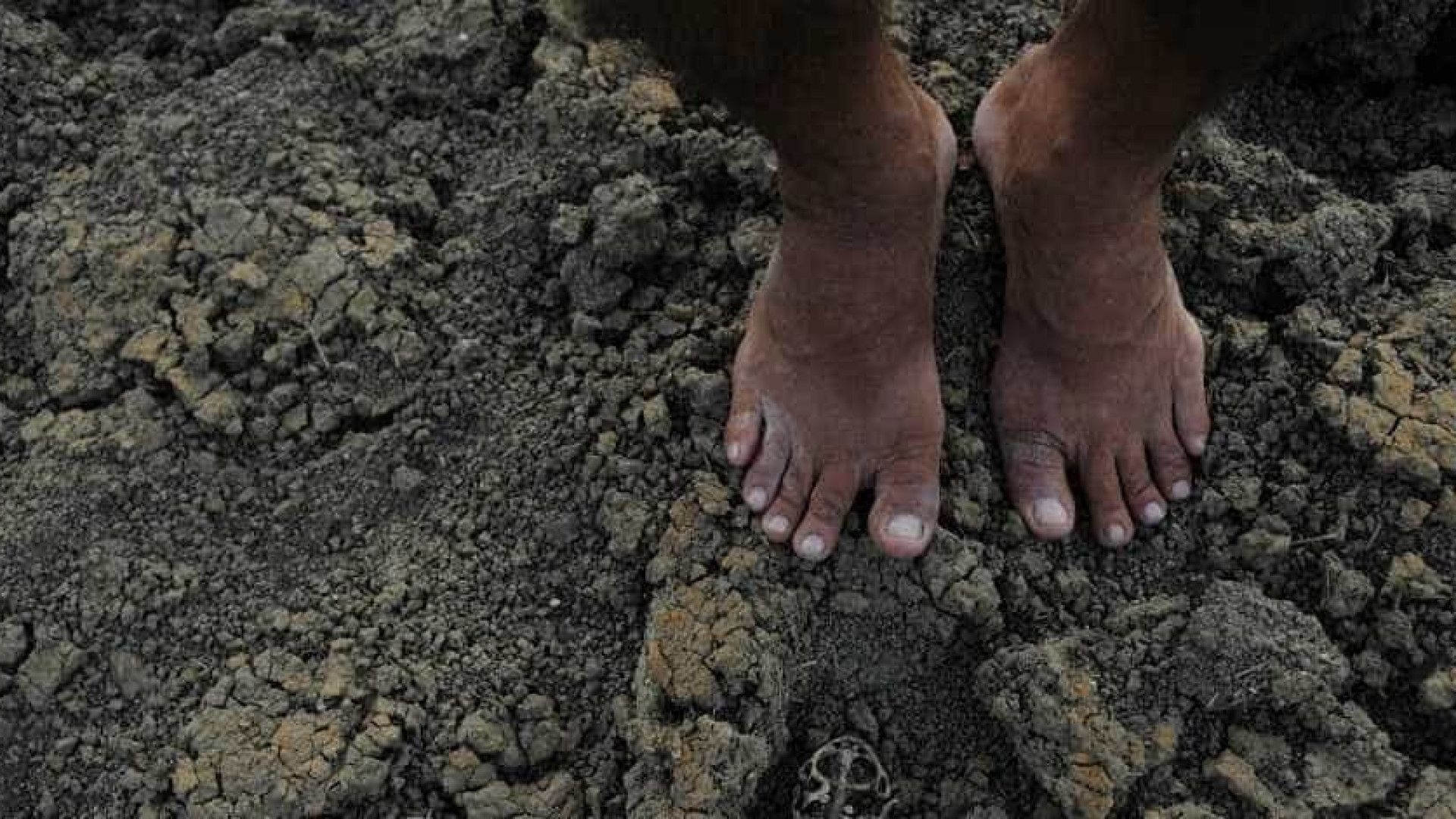 Ligada a El Niño, seca que atinge Amazônia vai durar até dezembro