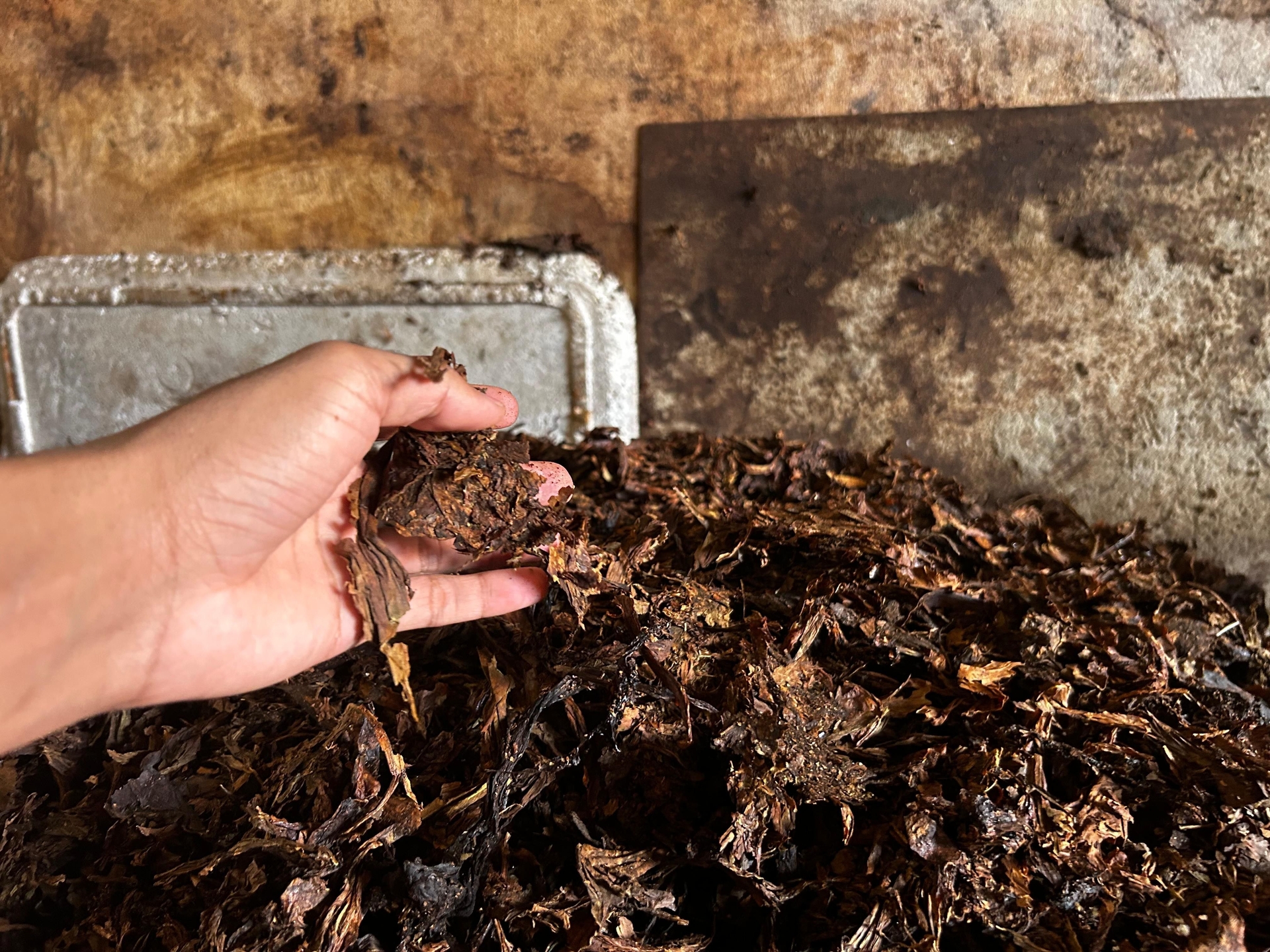 PRF apreende 27 toneladas de fumo em Alagoas