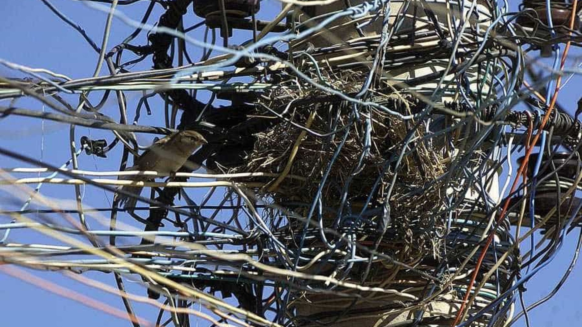 Rio de Janeiro tem falta de luz causada por temporal e furto de energia