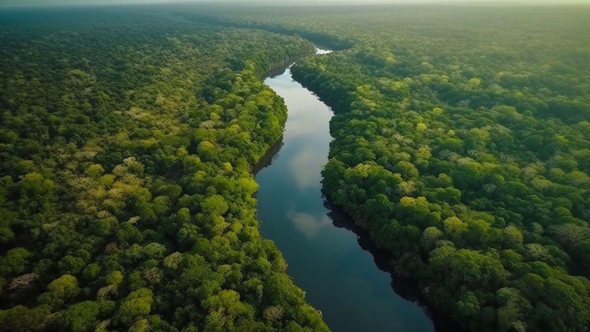 Amazônia se aproxima do ponto de não retorno crítico