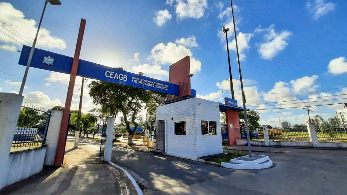 Homem preso por furto de retrovisor em Maceió