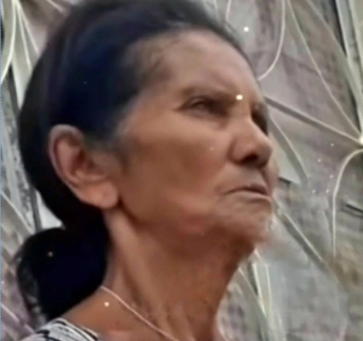 Idosa baleada em casa morre em São Miguel dos Campos