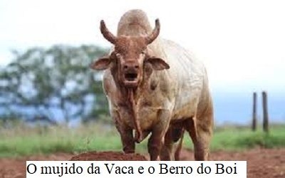 Abstinência de cargos e dinheiro faz criar maluco beleza das pontas soltas