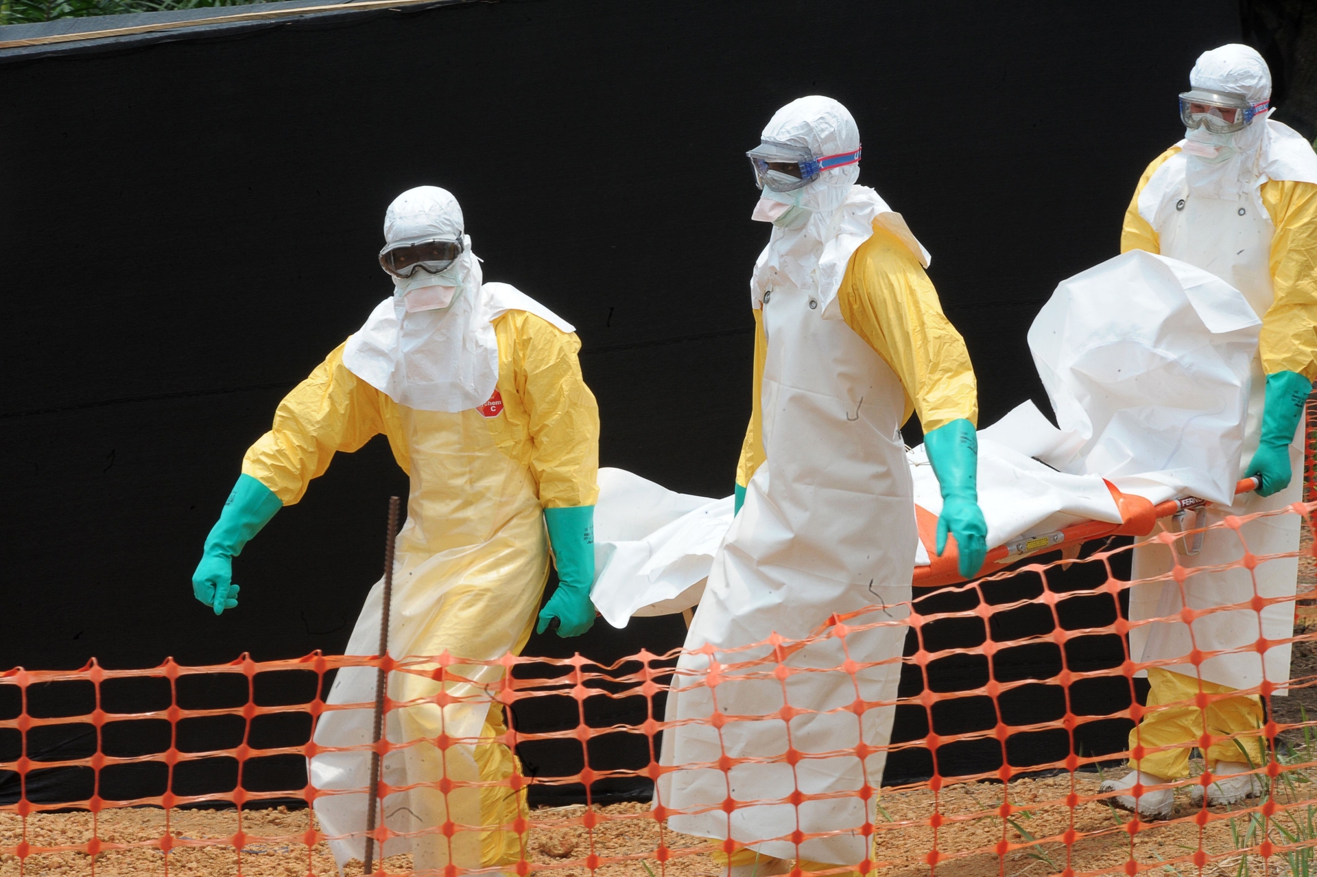 OMS realiza reunião de emergência sobre surto de Ebola