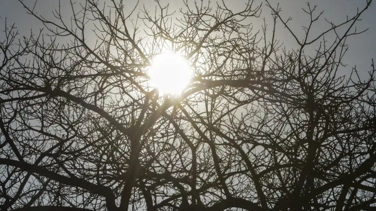 La Niña deve impactar clima no Brasil até 2026