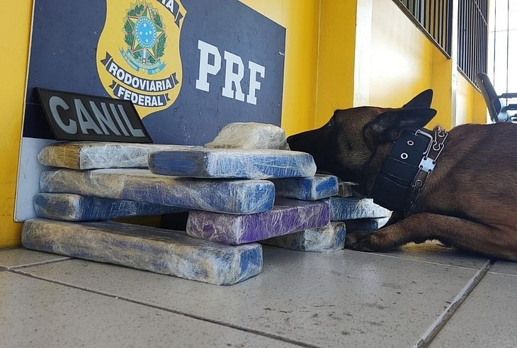 Polícia apreende 12 kg de maconha dentro de ônibus, em São Sebastião