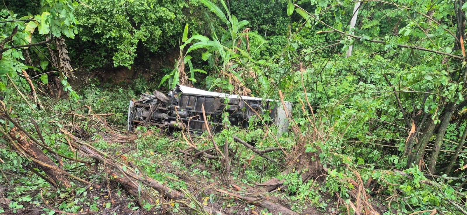 Caminhão cai em ribanceira e deixa homem ferido