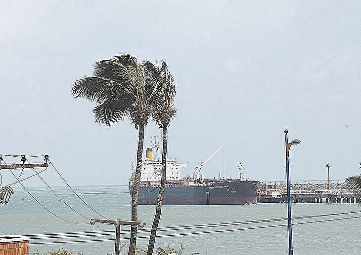 Velocidade dos ventos em AL pode variar de 22 a 55 km/h até o próximo domingo, alerta meteorologista