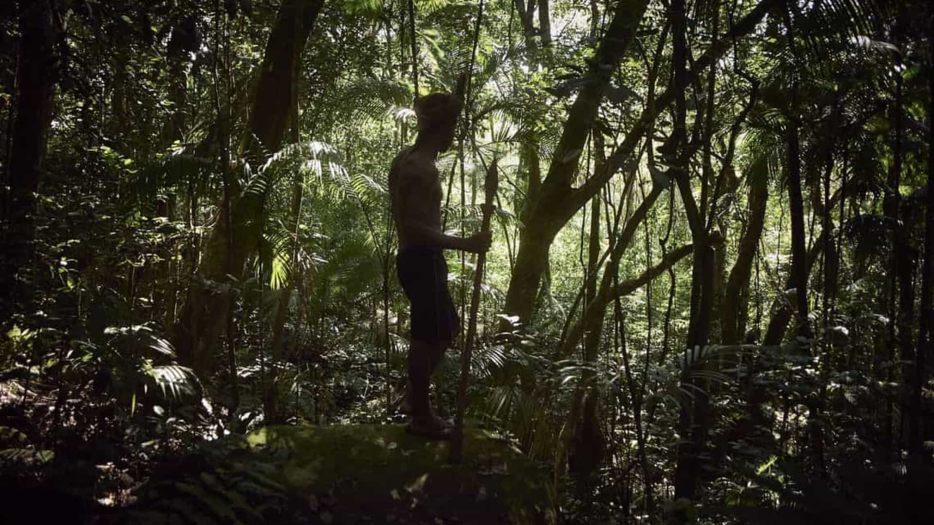 Organização denuncia invasão em área de indígenas isolados