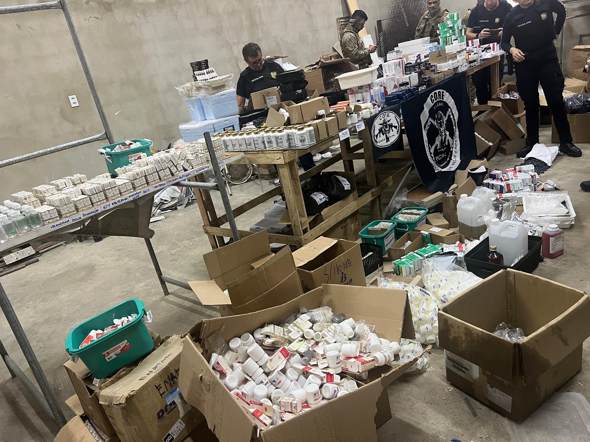 Anabolizantes e remédios falsificados apreendidos em operação da PC-AL