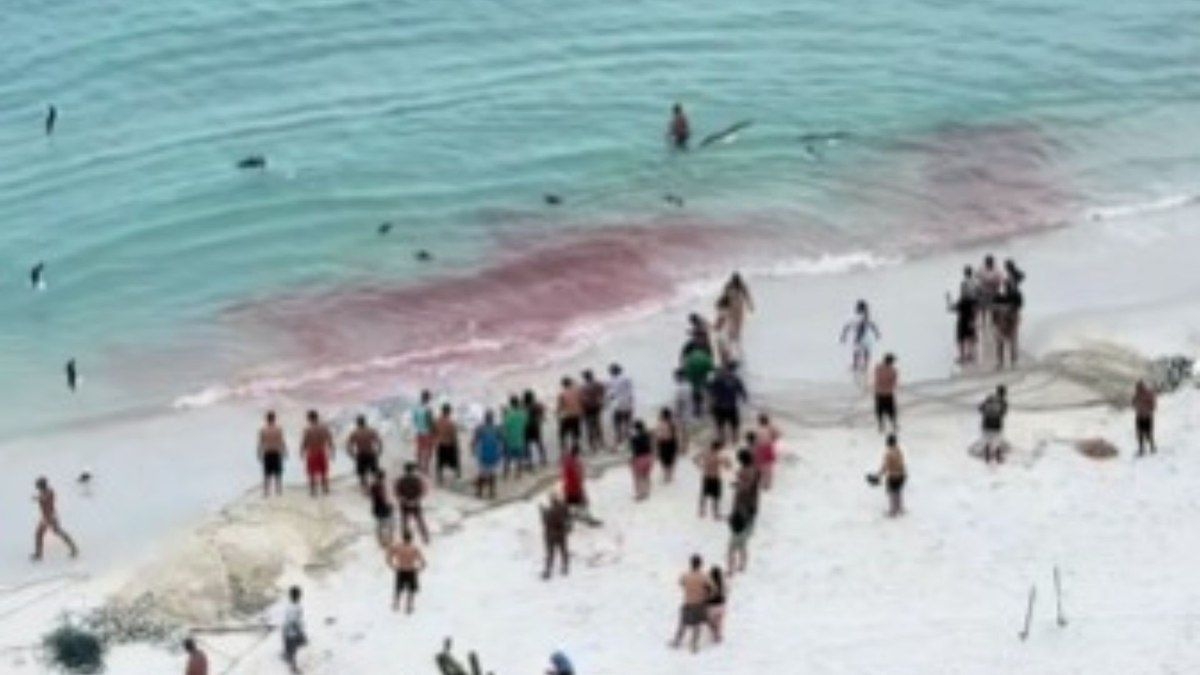 Pesca provoca mancha de sangue no mar em Arraial do Cabo