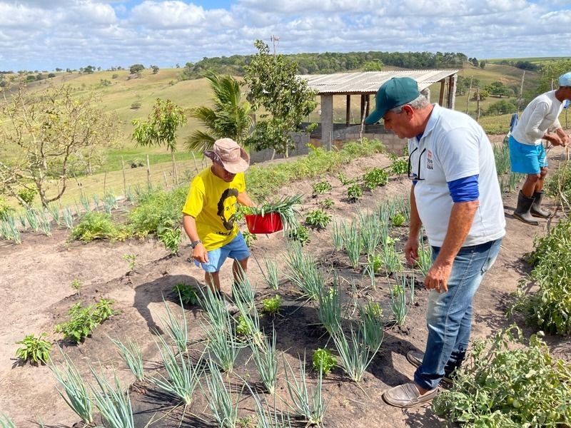 Trabalho da Prefeitura de Penedo com agricultura ajuda a reabilitação dos acolhidos na Casa do Bom Samaritano