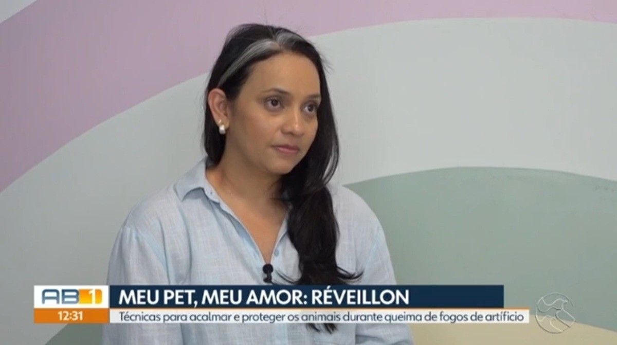 Dicas para acolher seu pet na queima de fogos