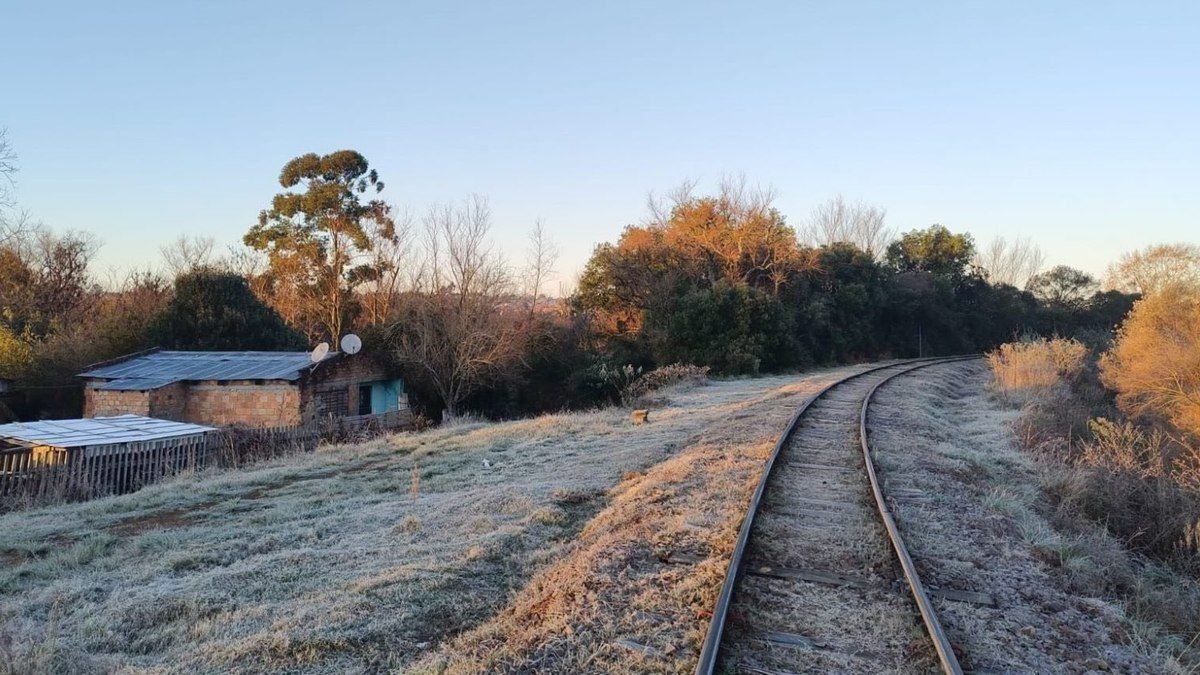 Defesa Civil alerta sobre geadas e frio intenso em SP