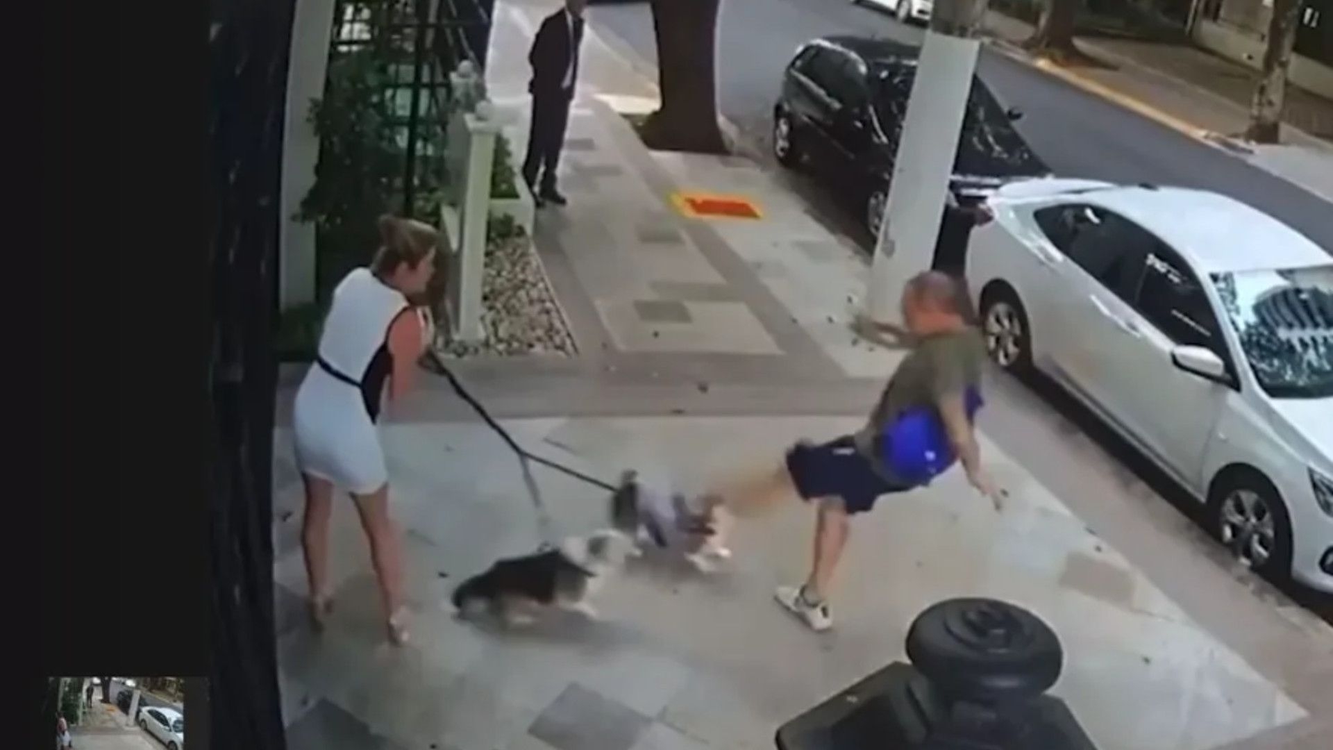 Homem que agrediu irmã de Zanin e cães é indiciado por lesão corporal e maus-tratos a animais