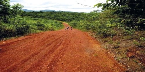 Quando não percebemos o que destruímos ao nosso redor perdemos quase tudo