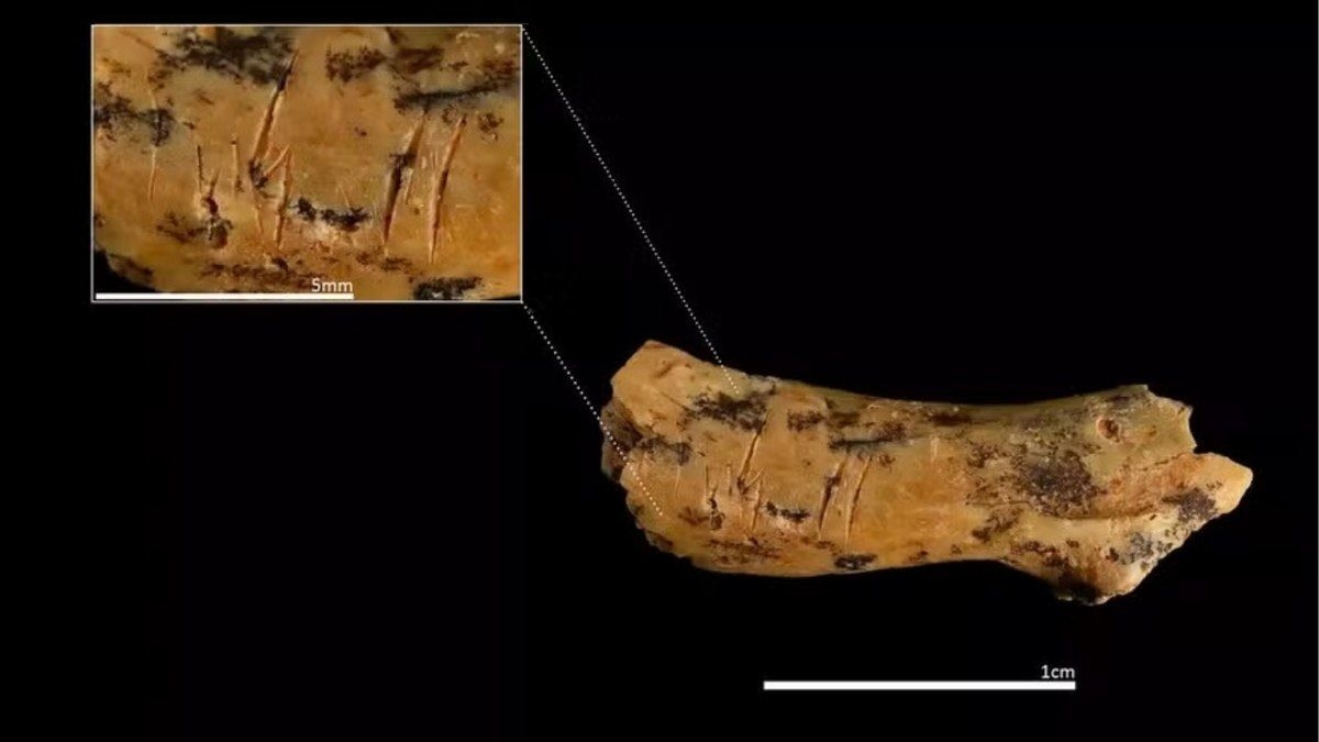 Descoberta de osso humano revela canibalismo ancestral