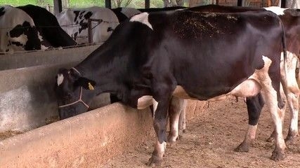 Irã fecha Estreito de Ormuz e afeta petróleo global