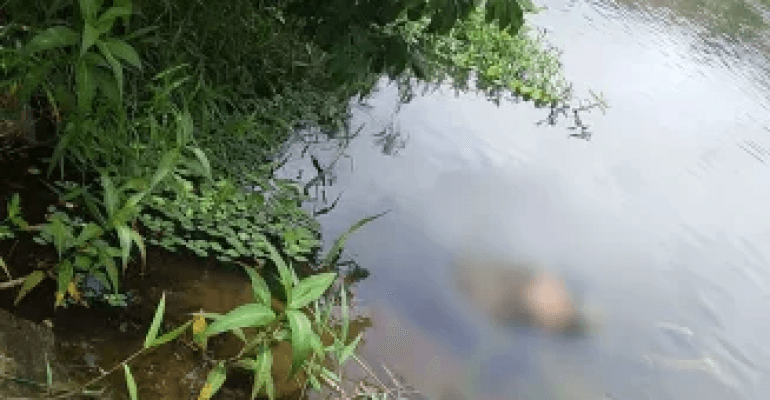 Corpo de homem que desapareceu é encontrado no Rio Mundaú