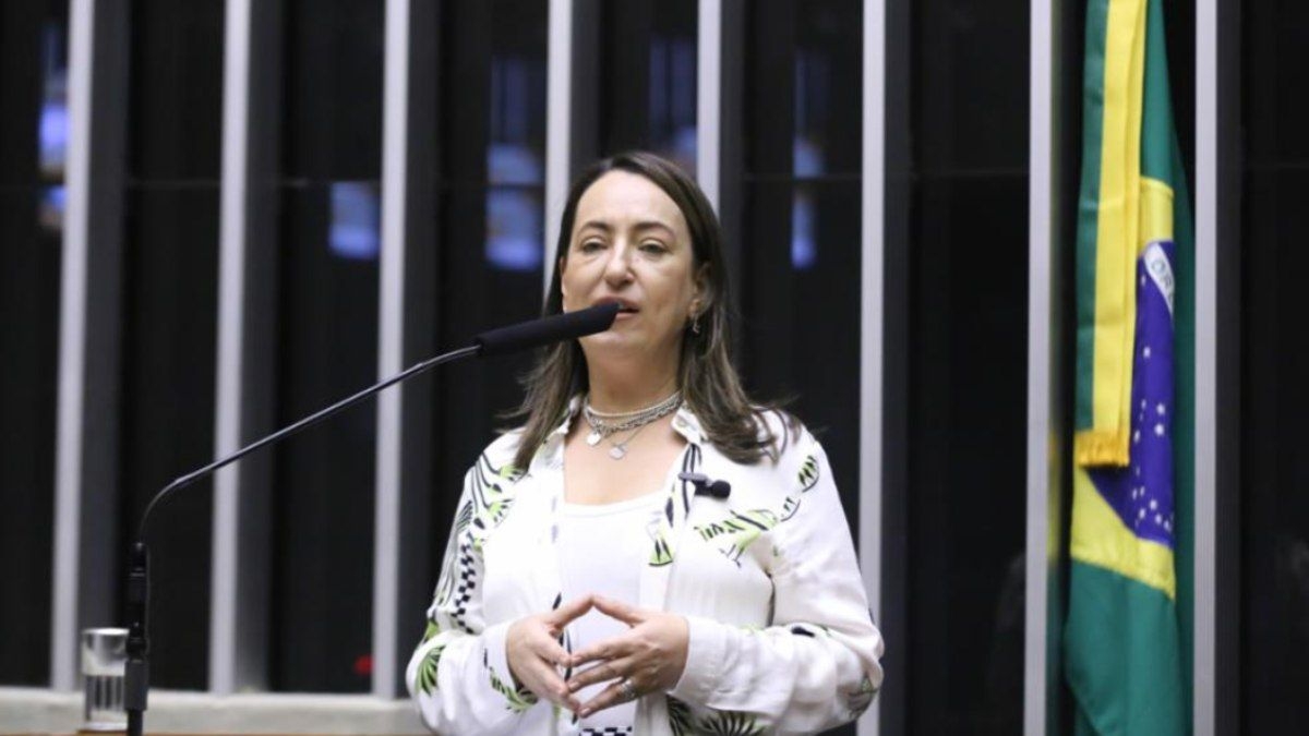 Deputada pede responsabilização criminal de Lupi por fraude no INSS