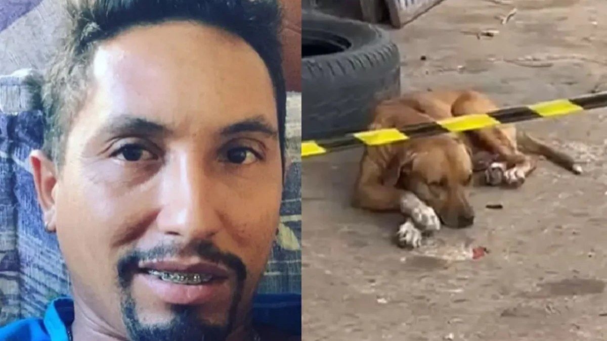 Cachorro aguarda dono que foi assassinado em Anápolis