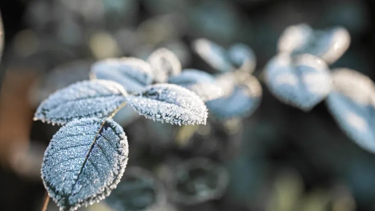 Geada no Sul e temporais no Norte e Nordeste do Brasil