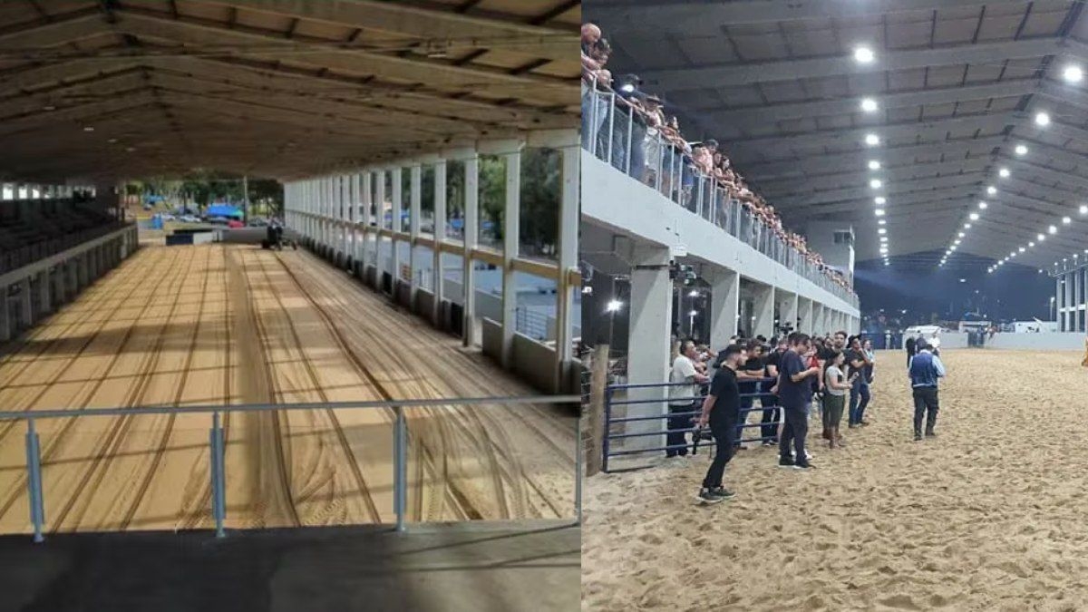 Bebê é pisoteado por boi em rodeio no Paraná