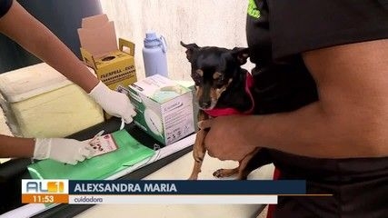 Taxação dos EUA e a influência da família Bolsonaro